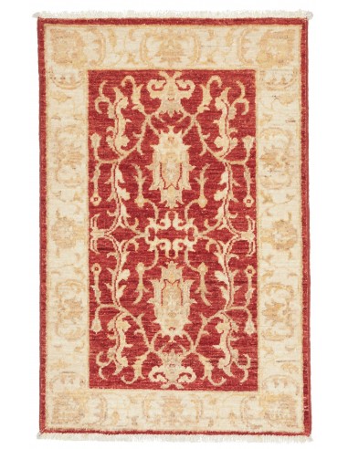 Tappeto Zigler Pakistan cm.60x90