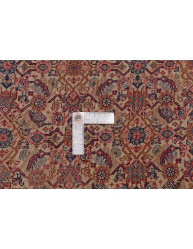 Tappeto Sarough Fine Persia cm.102x150