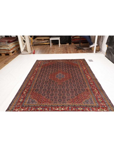 Tappeto Ardebil Persia cm.200x290