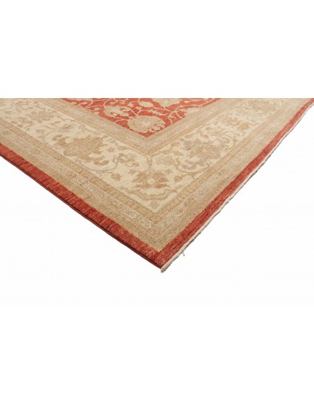 Tappeto Zigler Pakistan cm.309x390