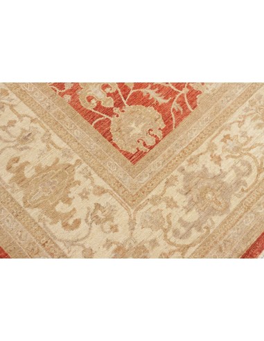 Tappeto Zigler Pakistan cm.309x390