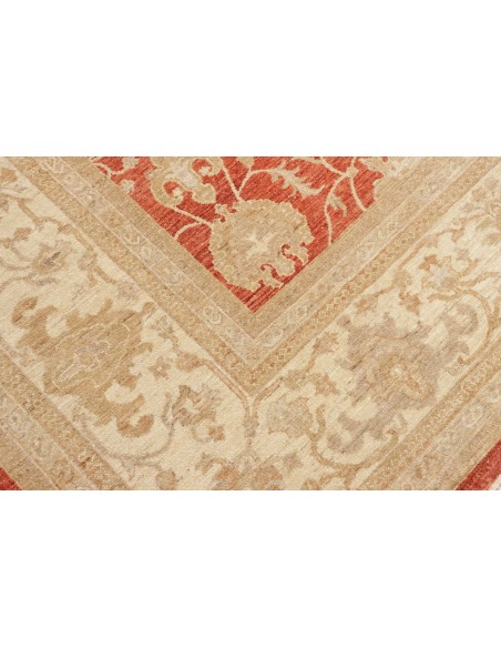 Tappeto Zigler Pakistan cm.309x390