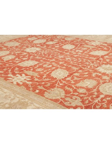 Tappeto Zigler Pakistan cm.309x390