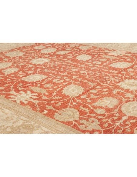 Tappeto Zigler Pakistan cm.309x390