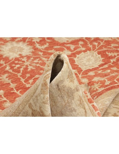 Tappeto Zigler Pakistan cm.309x390