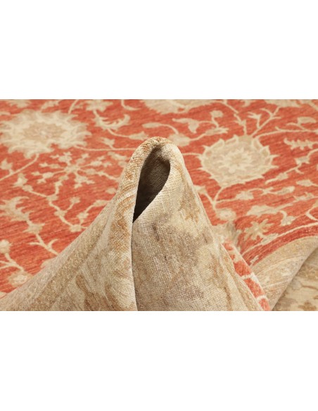 Tappeto Zigler Pakistan cm.309x390