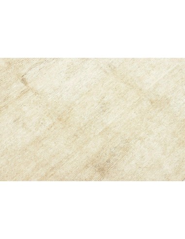 Tappeto Hemp Platin Nepal cm.201x298