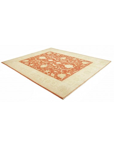 Tappeto Zigler Pakistan cm.245x290