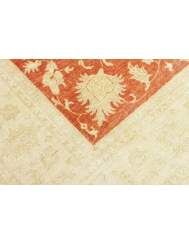 Tappeto Zigler Pakistan cm.245x290