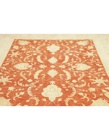 Tappeto Zigler Pakistan cm.245x290