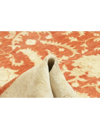 Tappeto Zigler Pakistan cm.245x290