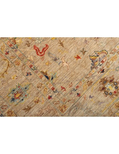 Tappeto Zigler Pakistan cm.203x288