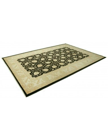 Tappeto Zigler Pakistan cm.250x363