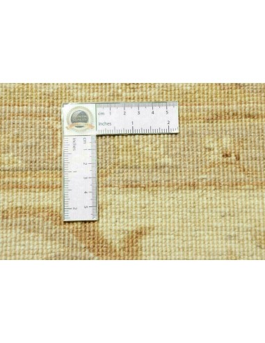 Tappeto Zigler Pakistan cm.250x363