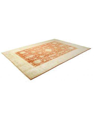 Tappeto Zigler Pakistan cm.240x338