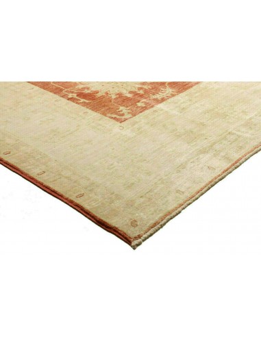 Tappeto Zigler Pakistan cm.240x338