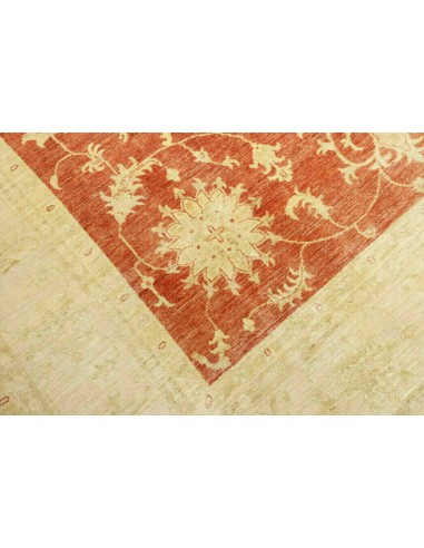 Tappeto Zigler Pakistan cm.240x338