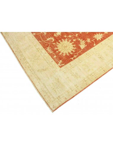 Tappeto Zigler Pakistan cm.240x338