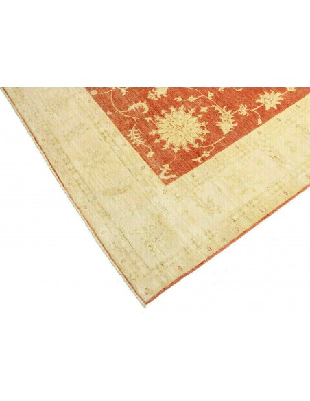 Tappeto Zigler Pakistan cm.240x338