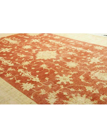 Tappeto Zigler Pakistan cm.240x338