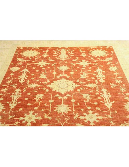 Tappeto Zigler Pakistan cm.240x338