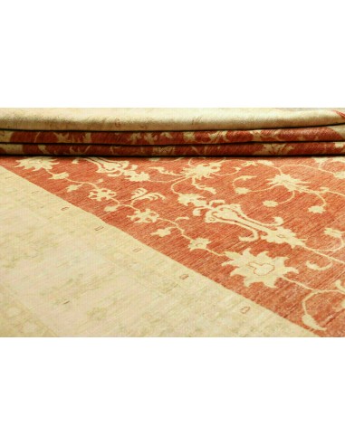 Tappeto Zigler Pakistan cm.240x338