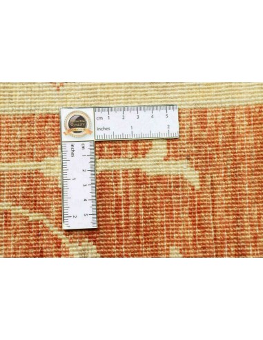 Tappeto Zigler Pakistan cm.240x338