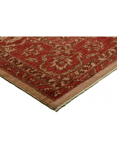 Tappeto Zigler Pakistan cm.252x296