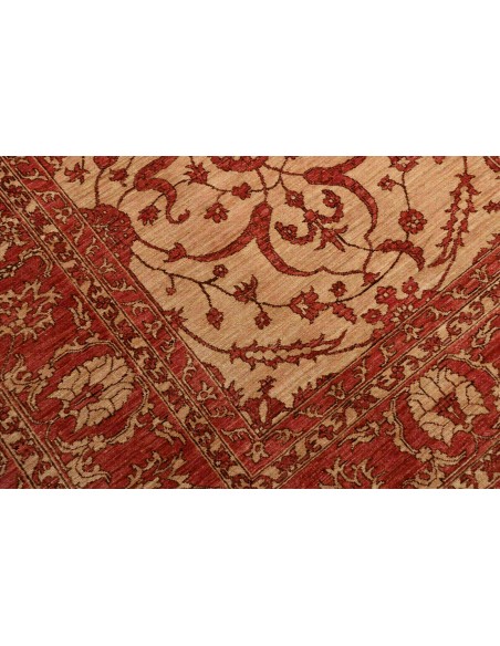 Tappeto Zigler Pakistan cm.252x296