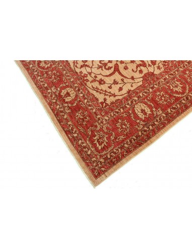 Tappeto Zigler Pakistan cm.252x296