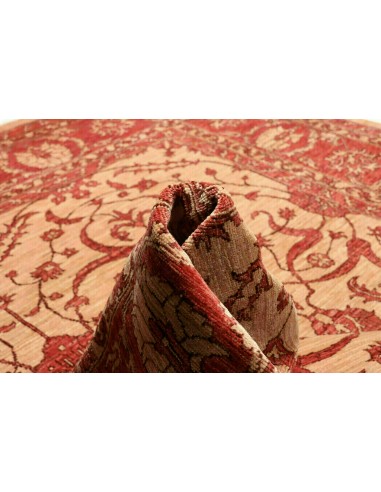 Tappeto Zigler Pakistan cm.252x296