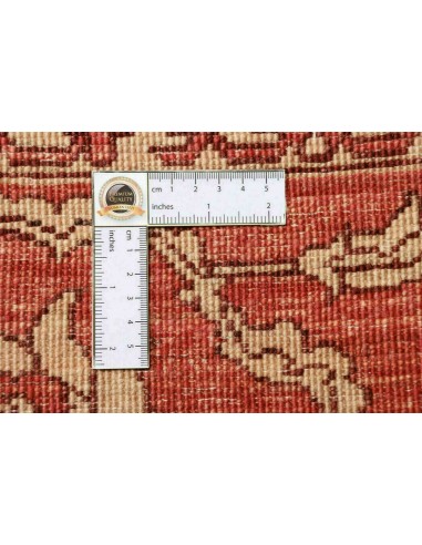 Tappeto Zigler Pakistan cm.252x296