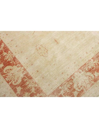 Tappeto Zigler Pakistan cm.249x341