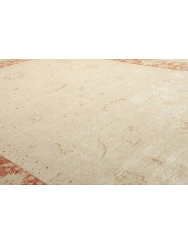 Tappeto Zigler Pakistan cm.249x341