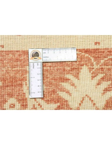 Tappeto Zigler Pakistan cm.249x341