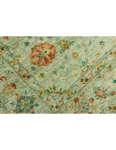 Tappeto Zigler Pakistan cm.170x240