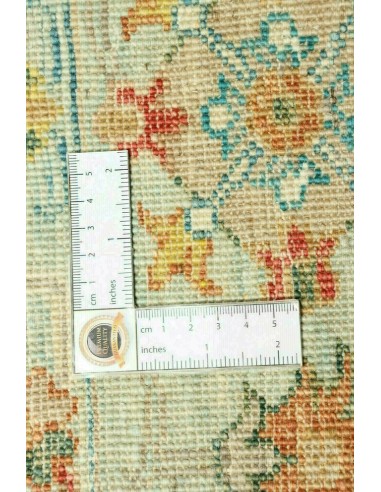 Tappeto Zigler Pakistan cm.170x240