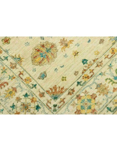 Tappeto Zigler Pakistan cm.165x236