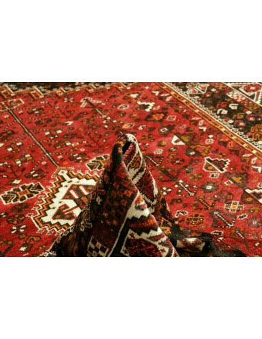 Tappeto Shiraz Persia cm.218x292
