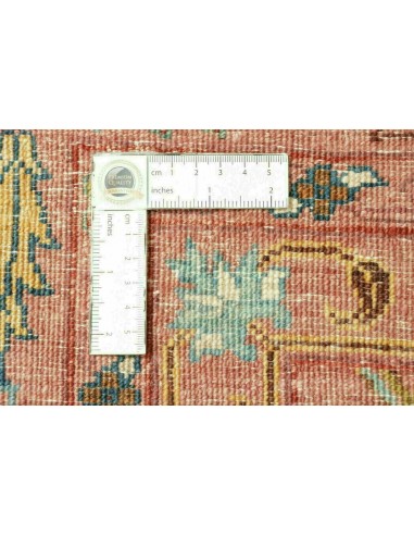 Tappeto Zigler Pakistan cm.248x303