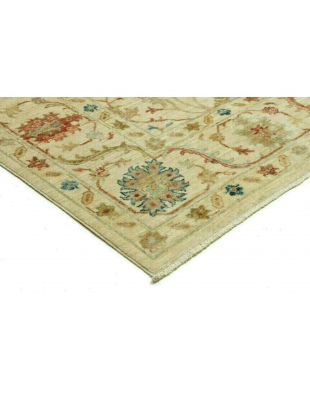 Tappeto Zigler Pakistan cm.174x246