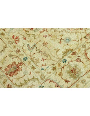 Tappeto Zigler Pakistan cm.174x246