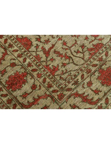 Tappeto Zigler Pakistan cm.203x250