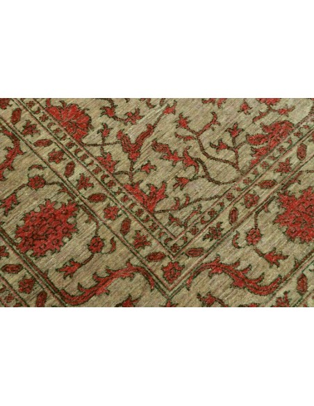 Tappeto Zigler Pakistan cm.203x250