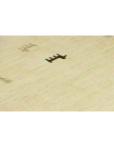 Tappeto Shayan Pakistan cm.158x205