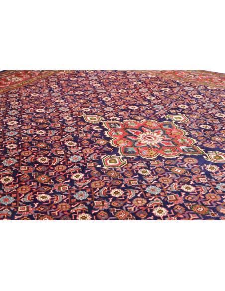 Tappeto Sarough Persia cm.295x388