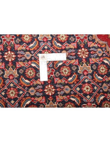 Tappeto Moud Persia cm.225x320